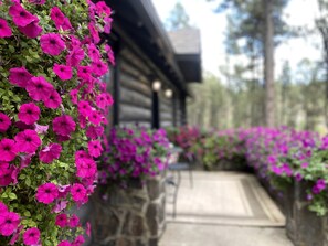 En byggnad med en fasad av sten och en gångväg som leder till entrén.