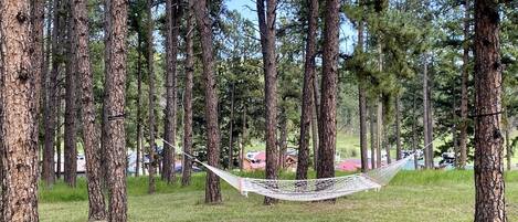 A hammock between trees in a grassy area with houses in the background.