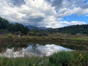 Un paisaje natural con una masa de agua, vegetación y montañas a lo lejos.
