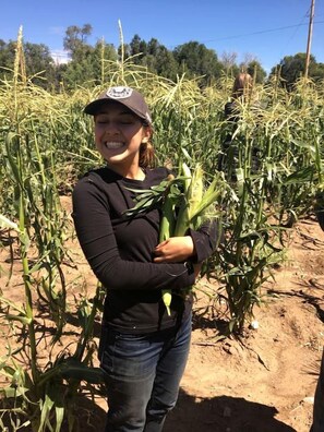 Una persona de pie en un campo de maíz sosteniendo mazorcas de maíz.