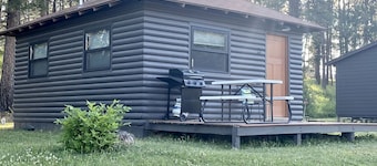 Modern and Picturesque Lake-Side Cabin Located by Mount Rushmore in Rapid City