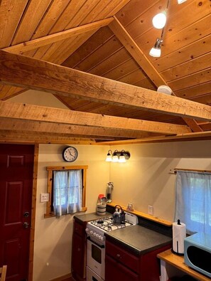 Frigorífic, microones, placa de cuina i cafetera i tetera