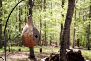Linnunpönttö roikkuu metallisesta koukusta metsässä.