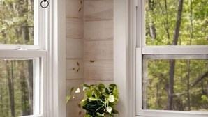 A room with a white radiator, a hanging lamp, and a potted plant by a window. - Modern Tiny Cabin with Game Room & Fire Pit in West Virginia (Great Cacapon)