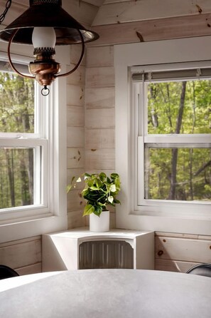 A room with a white radiator, a hanging lamp, and a potted plant by a window.