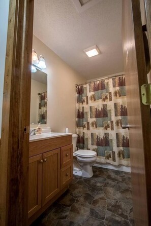 Jetted bath, hair dryer, towels, toilet paper - Cabin in the woods w/ WIFI close to Monongahela National Forest (Riverton)