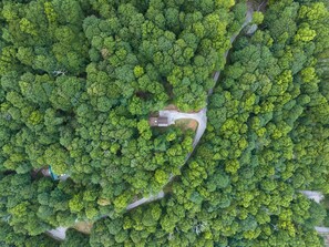 Luchtbeeld van een bebost gebied met een kronkelende weg en een klein gebouw met een groen dak.
