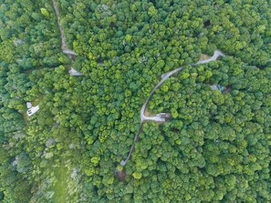 Oversigtsbillede af et skovområde med snoede stier og spredte bygninger.