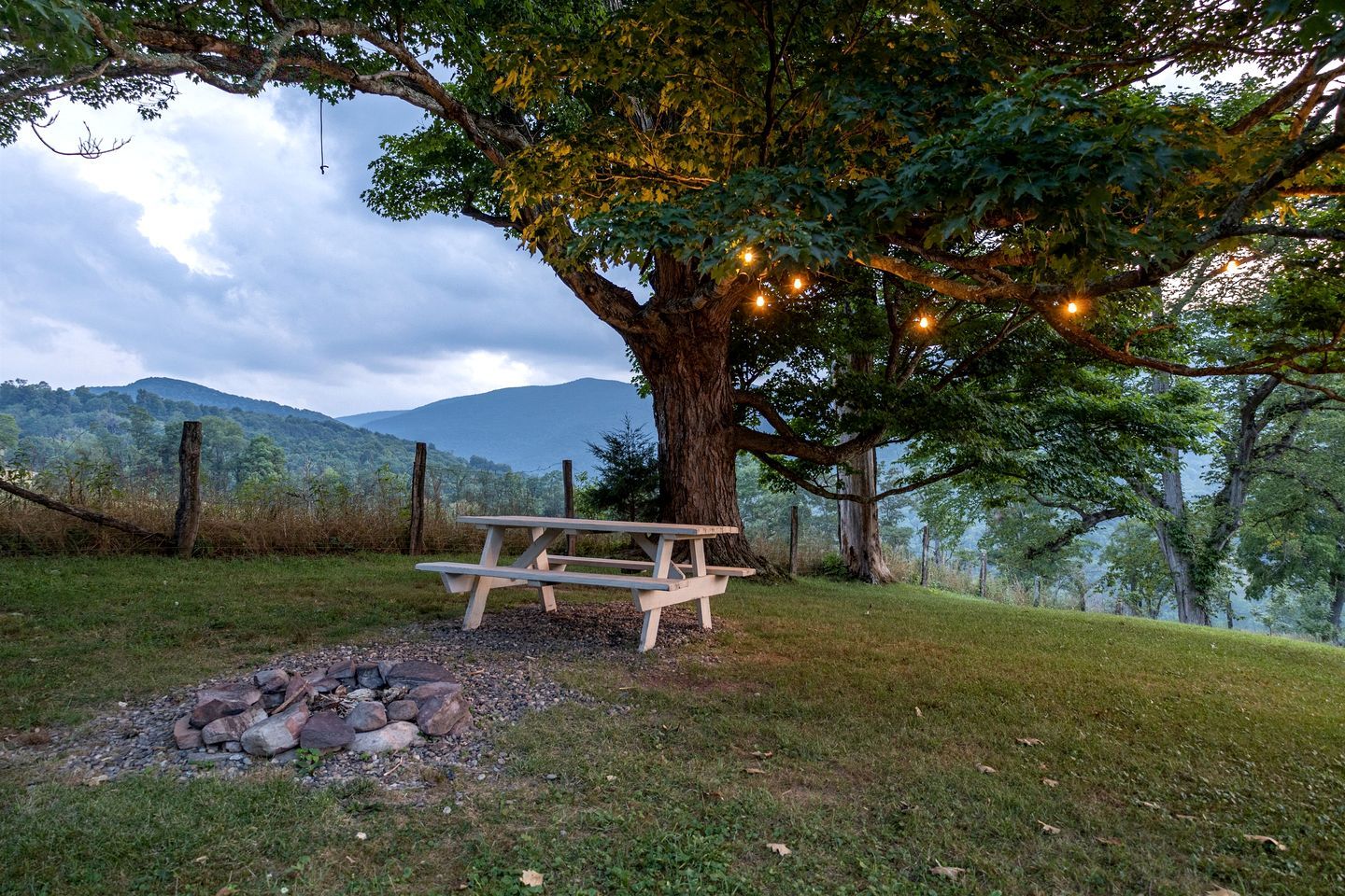 A picnic table under a large tree with string lights, surrounded by a grassy area with a mountain view.
