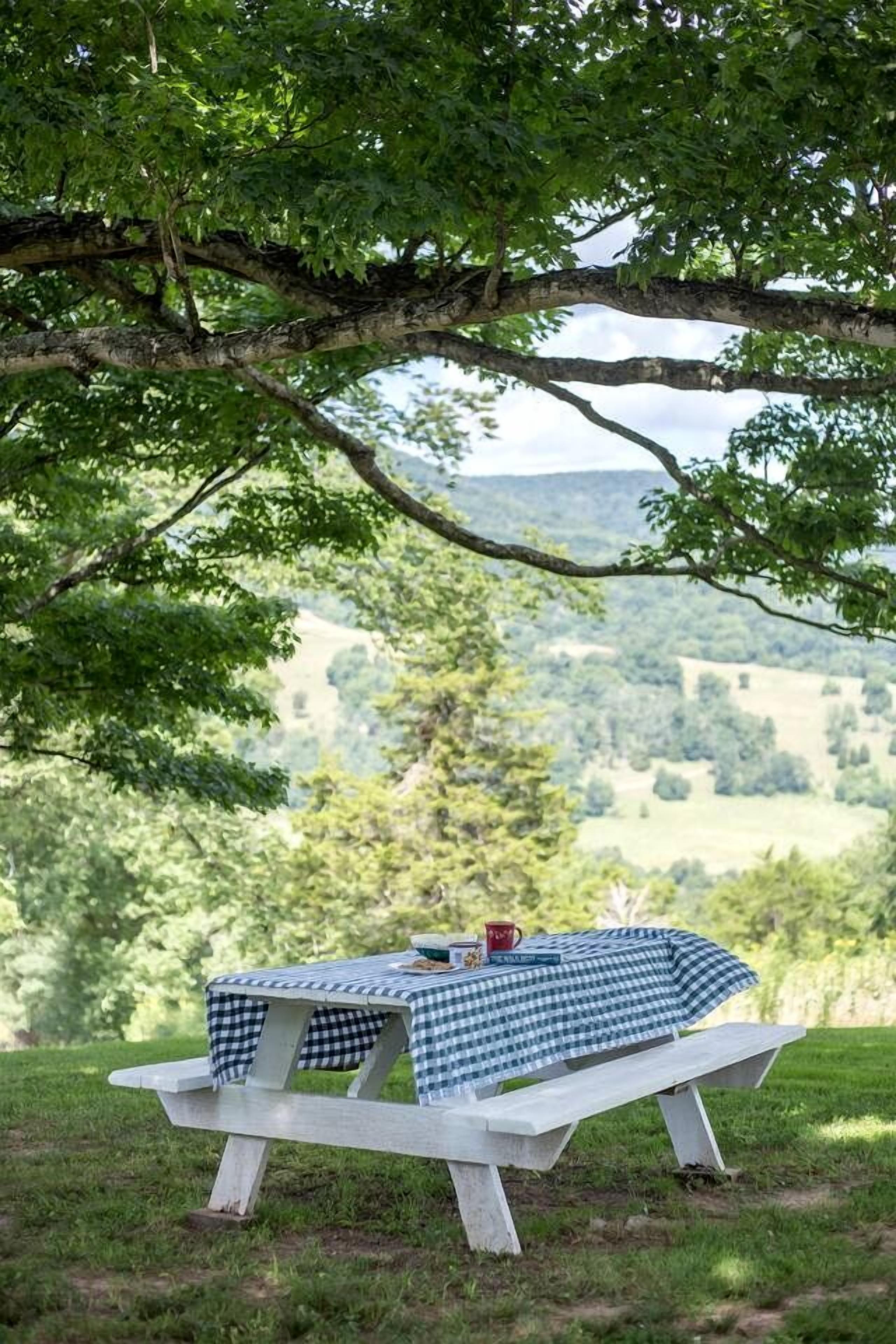 Uma mesa de piquenique com toalha quadriculada, uma caneca vermelha e um livro, em uma área gramada com árvores e vista para colinas.