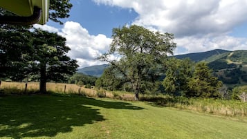 Ein grünes Feld mit Bäumen und einem Berg im Hintergrund.