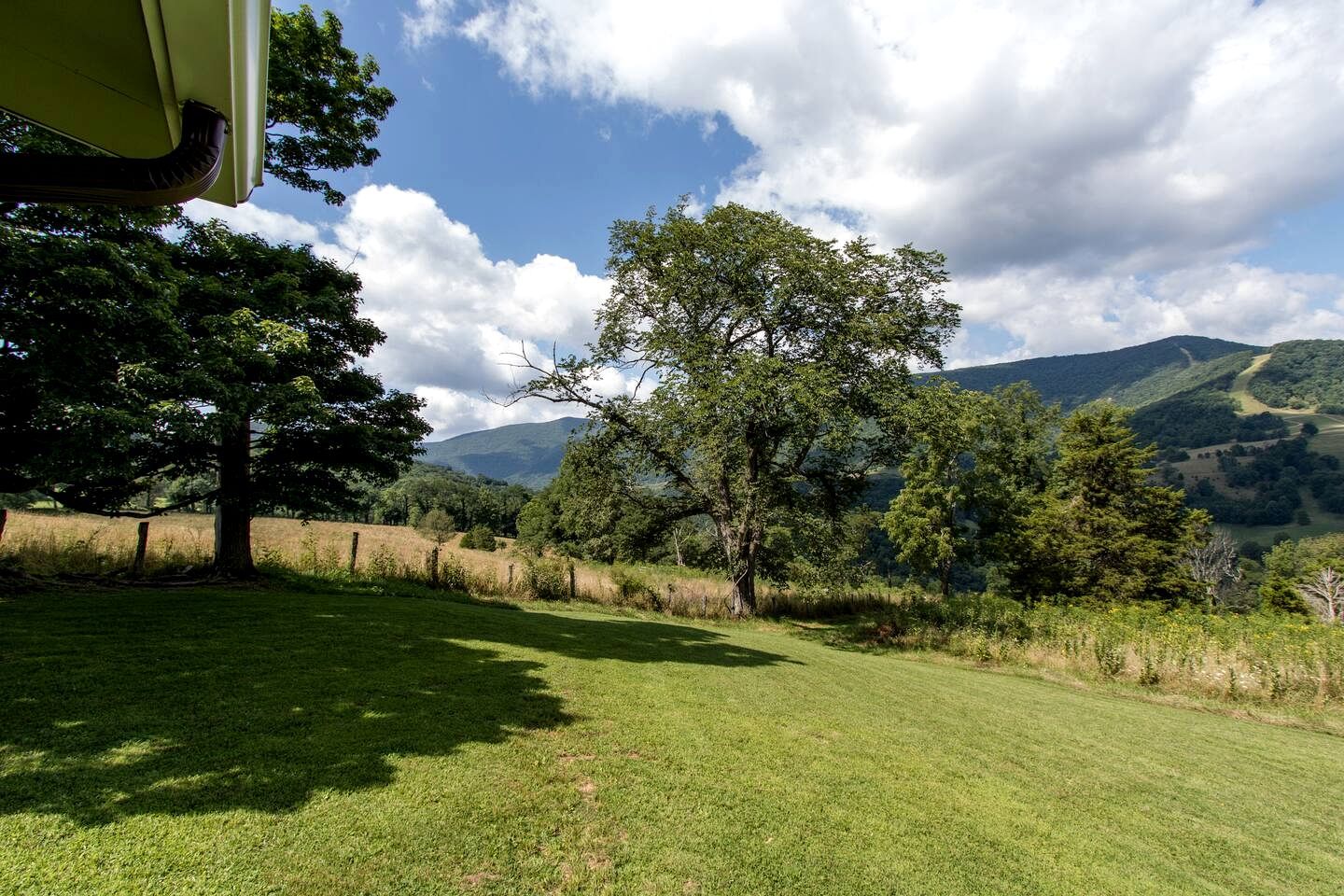 A grassy field with trees and a mountain in the background.
