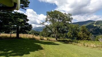 A grassy field with trees and a mountain in the background.