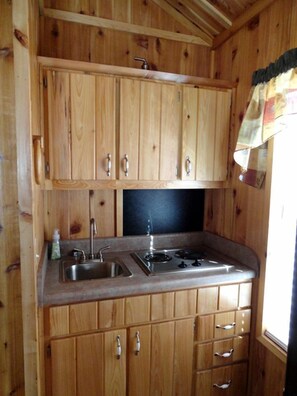 Frigorífic, microones, placa de cuina i cafetera i tetera