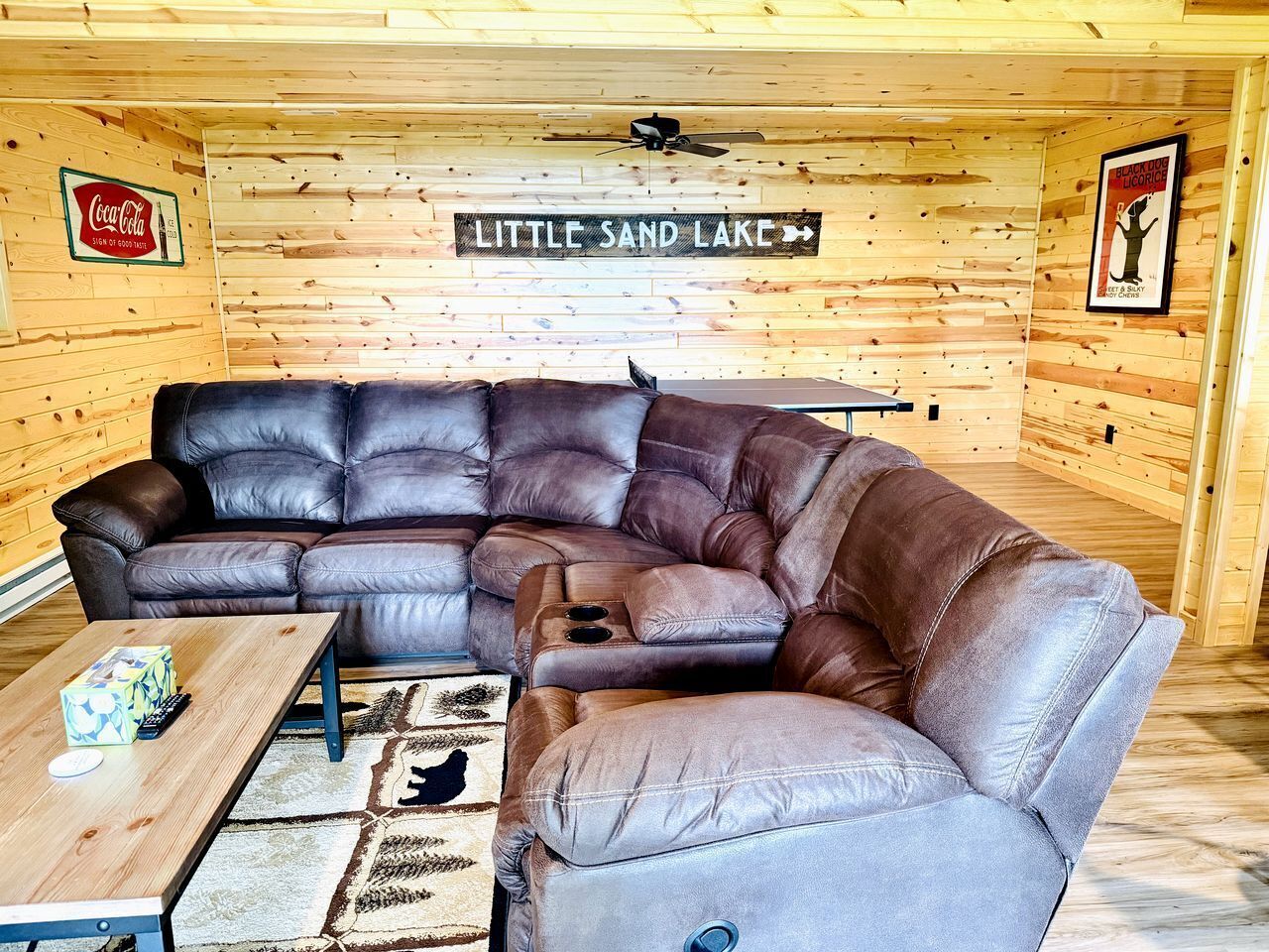 TV, fireplace, video games, table tennis