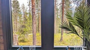 Chalet, näköala laaksoon | Oleskelualue