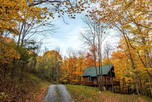 A cabin surrounded by autumn foliage, a gravel path leading to it, and a clear sky.