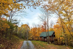 Une cabane entourée d’un feuillage automnal, un chemin de gravier menant à celle-ci et un ciel dégagé.