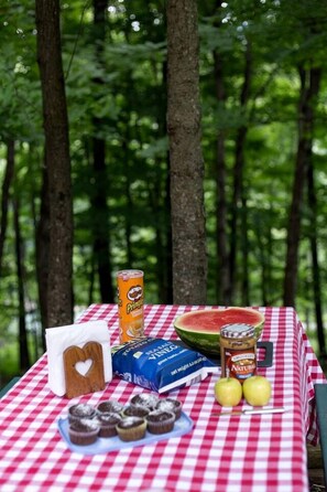 A picnic setup with a checkered tablecloth, a can of Pringles, a watermelon, a jar of peanut butter, a heart-shaped cookie, a box of chocolate, and two apples. - Secluded West Virginia Cabin Rental on the Edge of Monongahela National Forest (Riverton)
