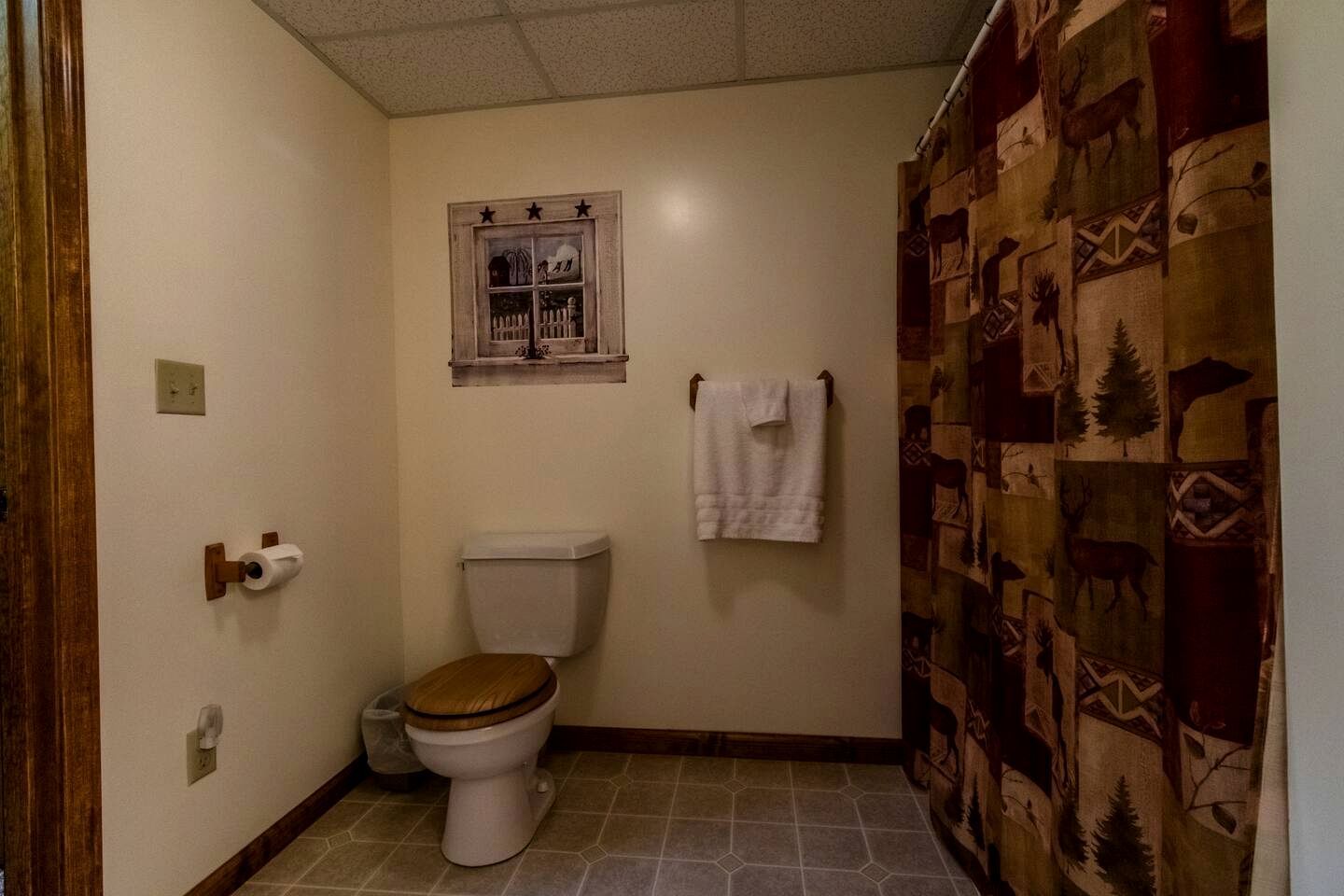 Hair dryer, towels, toilet paper