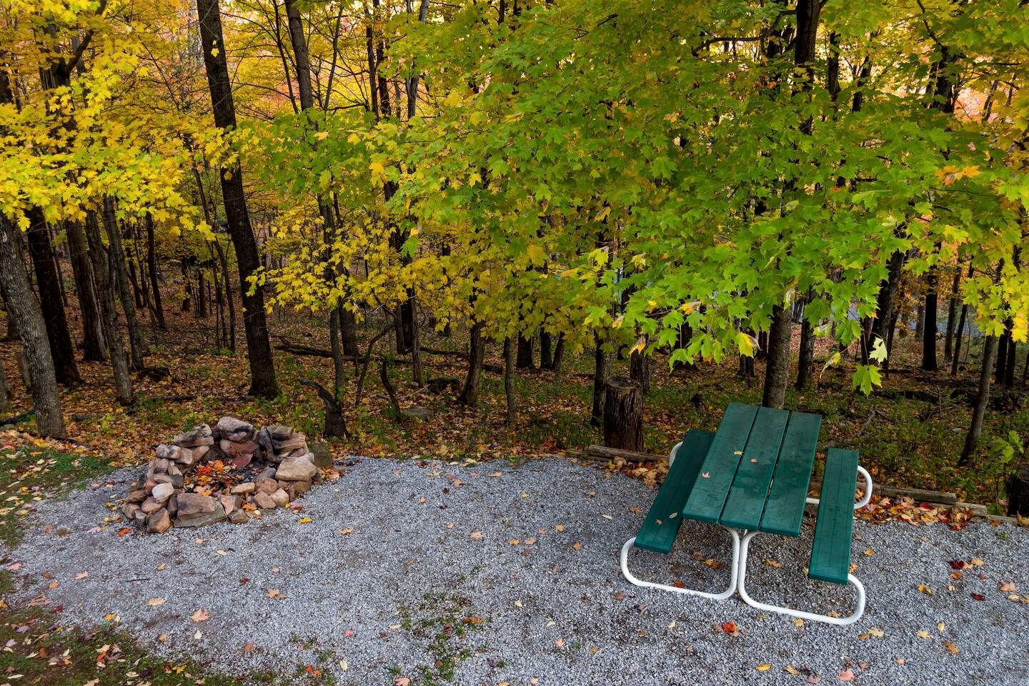 A gravel area with a stack of rocks, a green picnic table, and a forested background.