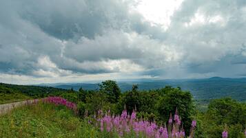 A mountainous landscape with purple flowers in the foreground and a cloudy sky.