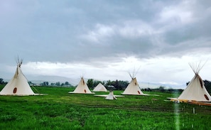 Miscellaneous - Experience Pet-Friendly Perfection: Classic Tipi Glamping Near Wind River Mountains, WY (Fort Washakie)