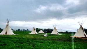 Een rij witte tenten in een grasveld onder een bewolkte lucht.