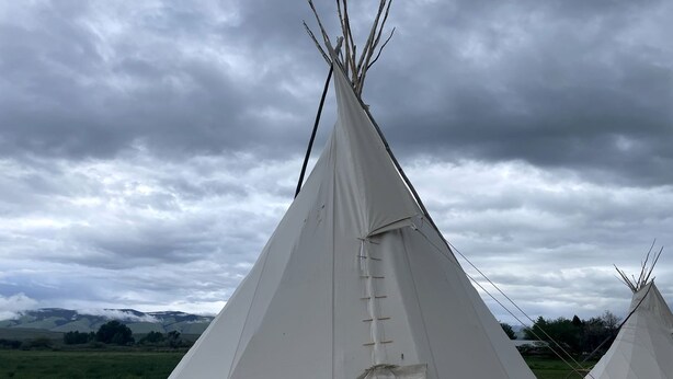 Een witte tipi met een ladder, gelegen in een grasveld met andere tipis op de achtergrond.
