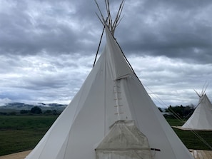 Una tienda tipi blanca con una escalera, ubicada en un campo verde con otras tiendas tipis al fondo.