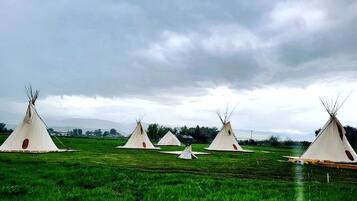 Varias tiendas de campaña blancas en un campo verde bajo un cielo nublado.