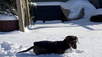 Jardines del alojamiento