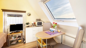 A compact room with a desk, a chair, a television, a small kitchenette, and a window with a view. - Studio Casa Felicitas, 1 living/sleeping room, max. 2 guests (not suitable for young children or dogs) (Möhnesee)