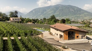 A modern building with a wooden facade, surrounded by vineyards and mountains in the background. - Apartment 'Oberhaslerhof Floralis' with Mountain View, Wi-Fi and Air Conditioning (Schenna)
