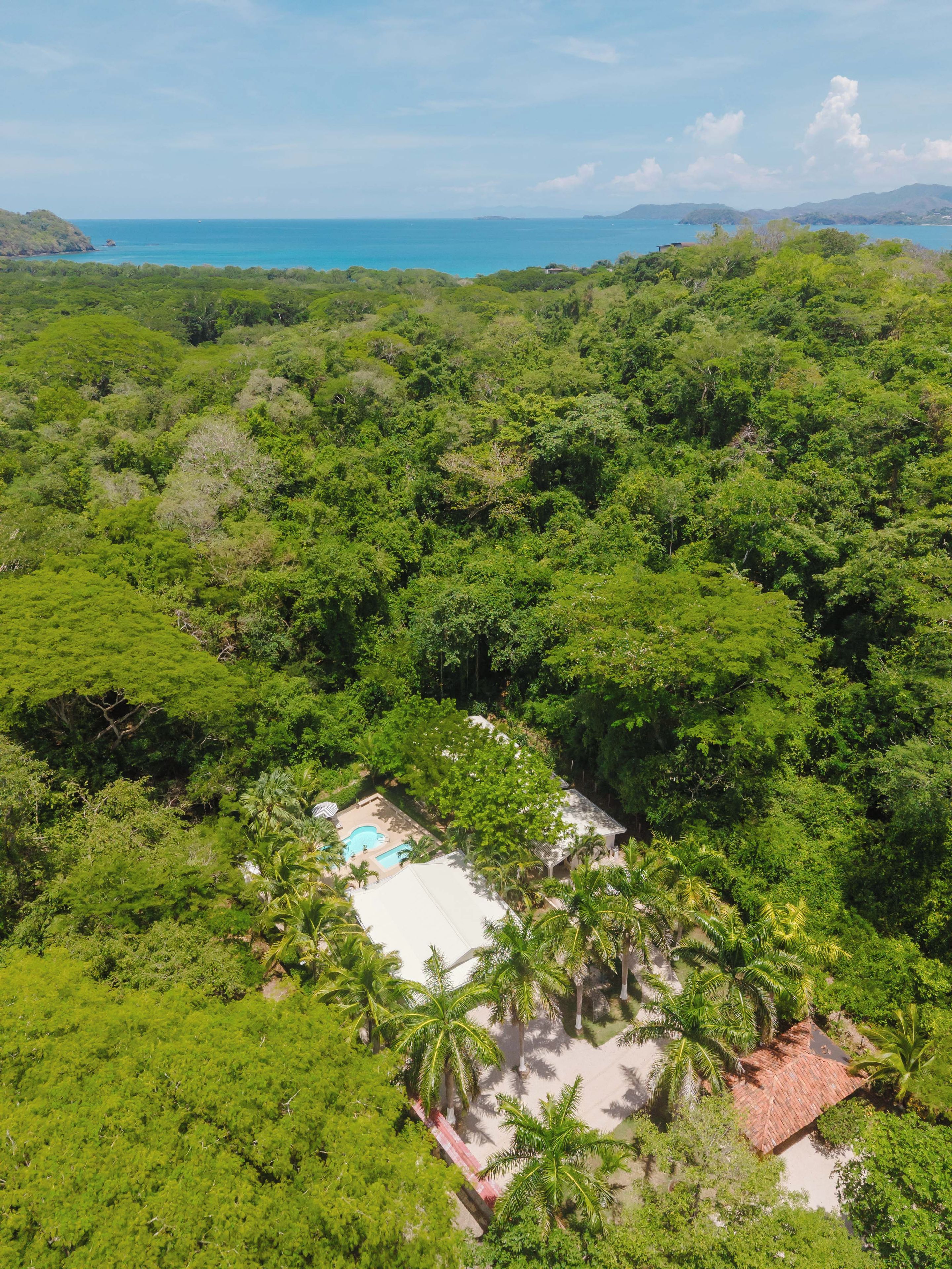 Un paisaje verde exuberante con piscina y palmeras, rodeado de vegetación densa y vistas al océano.