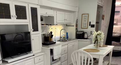 Texas State under the stars