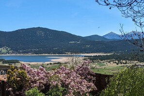Vista desde la propiedad