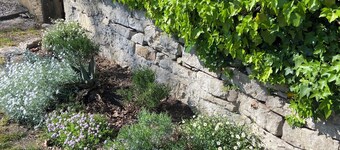 Small village house set in the garden of a rural family home