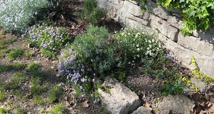 Small village house set in the garden of a rural family home