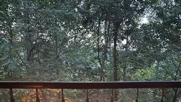 A hot tub on a wooden deck with a railing, surrounded by trees. - Serenity Haus centrally-located townhome only .2 of a mile from downtown.. (Helen)