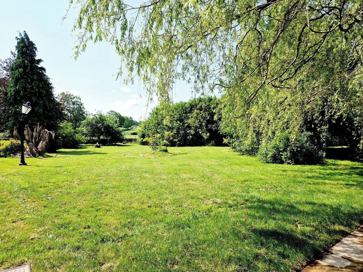 A grassy outdoor area with trees and a lamp post.