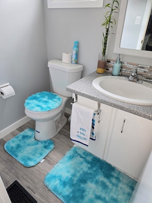 Een haardroger, handdoeken, zeep, toiletpapier