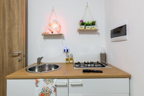 Una cuina amb un rentaplat de stainless steel, una cuina de gas, un comandament a distància i dues prestatgeries murals amb plantes i una làmpada amb forma de cor.