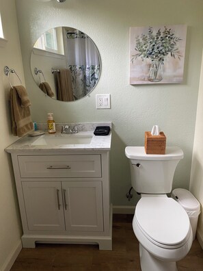 Hair dryer, towels, soap, toilet paper