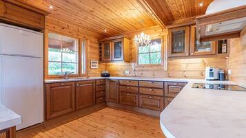 Microondas, horno, parrilla de estufa y lavavajillas