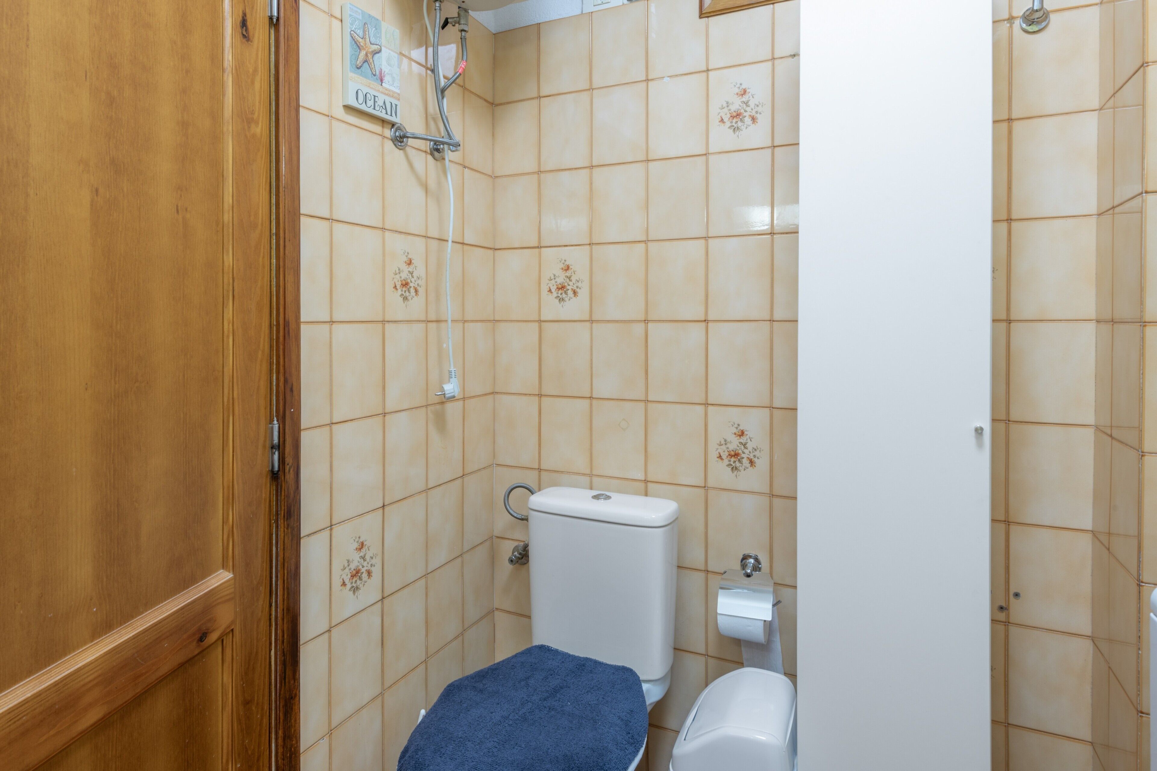 A bathroom with a toilet, a shower, and a wooden door.