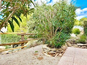 المنطقة المحيطة بالمنشأة