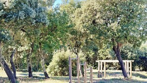 Eine Pergola aus Holz in einem Park mit Bäumen und Gras.