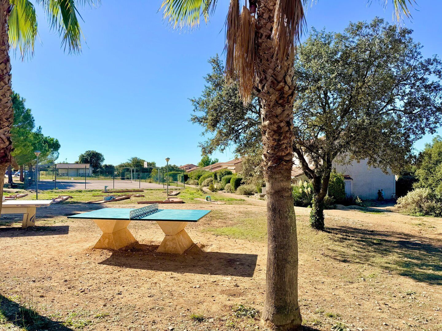 Een park met een picknicktafel, palmbomen en een gebouw op de achtergrond.
