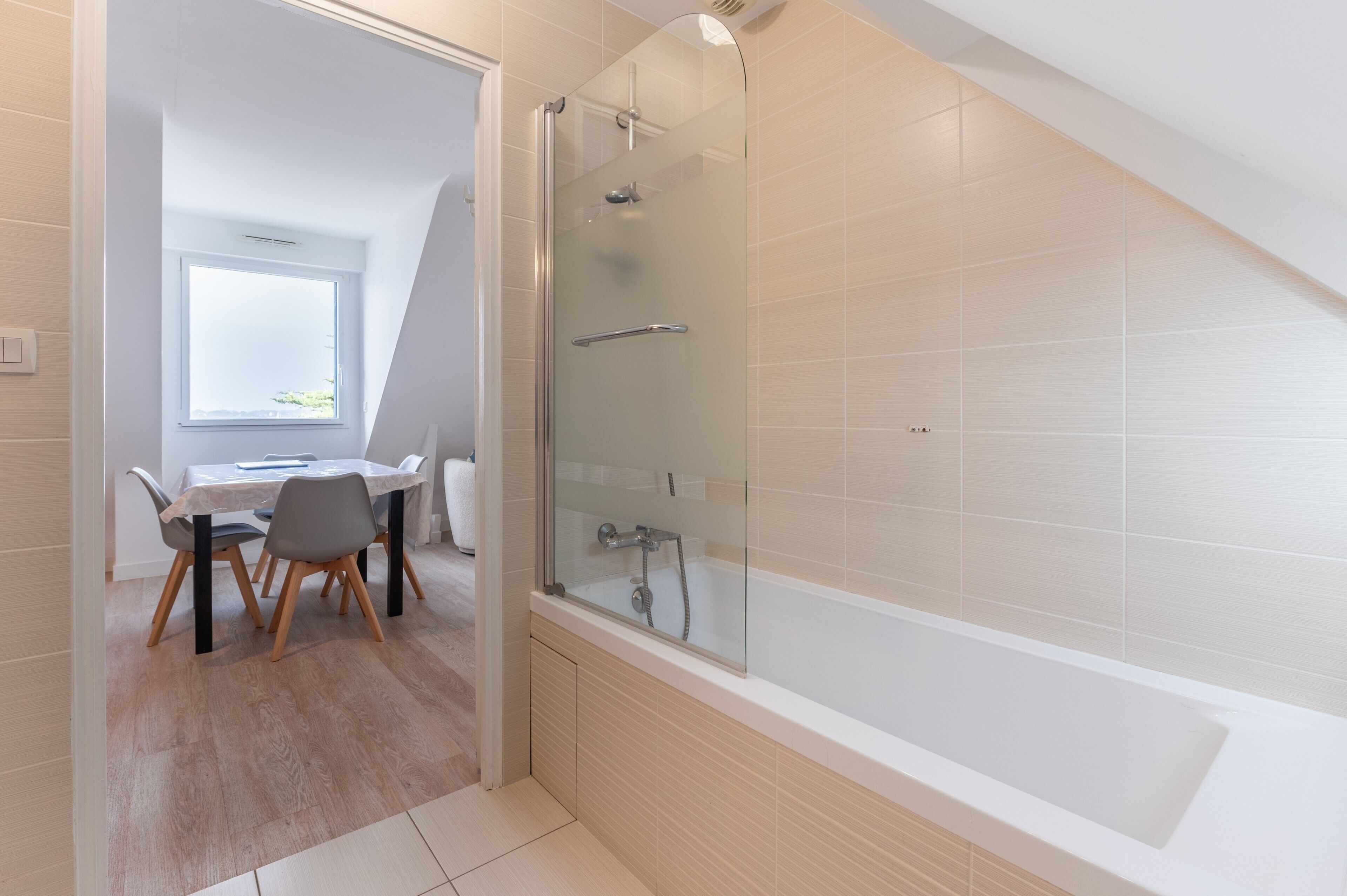 Shower, hair dryer, towels